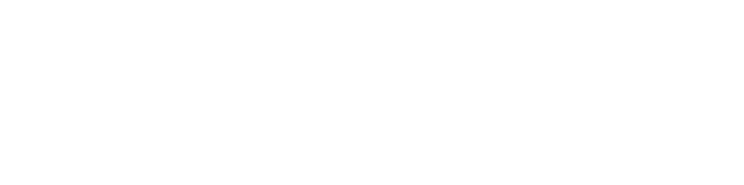 Logo von Raidboxes